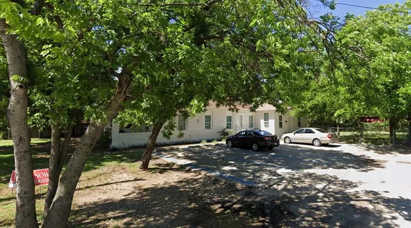 a view of a tree in the middle of a yard