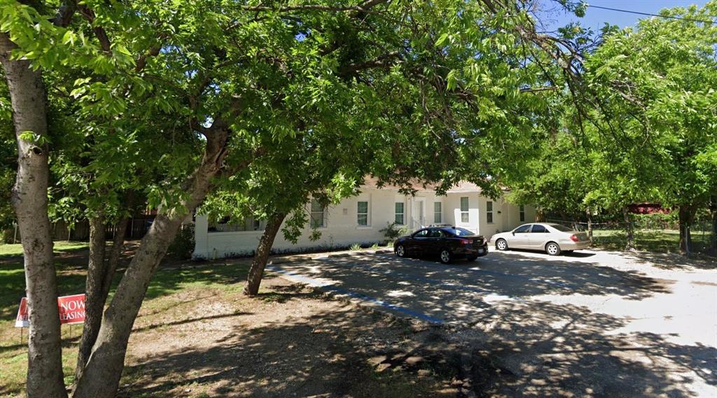 a view of a tree in the middle of a yard