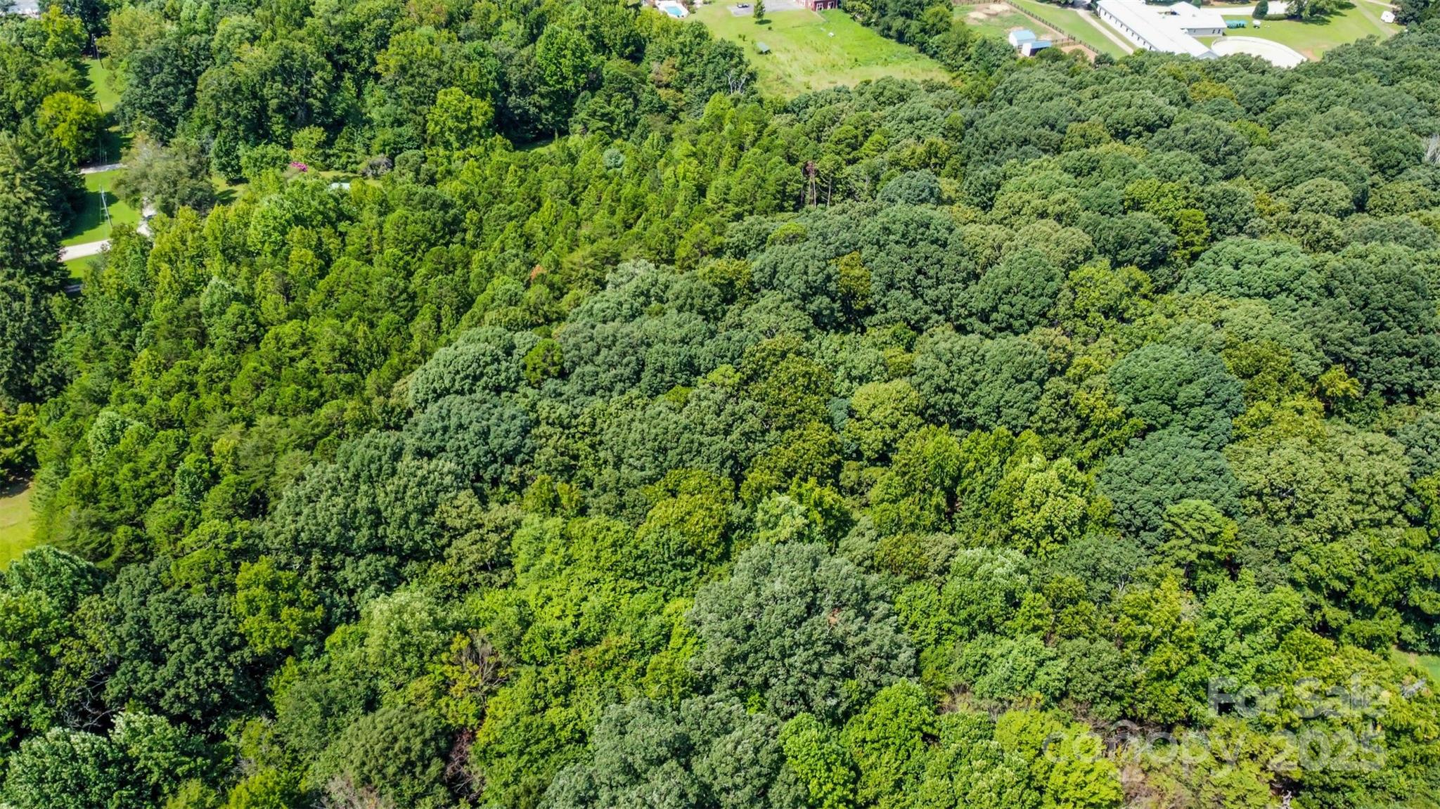 10340 Kerns Road Huntersville, NC 28078 - Photo 13 of 18