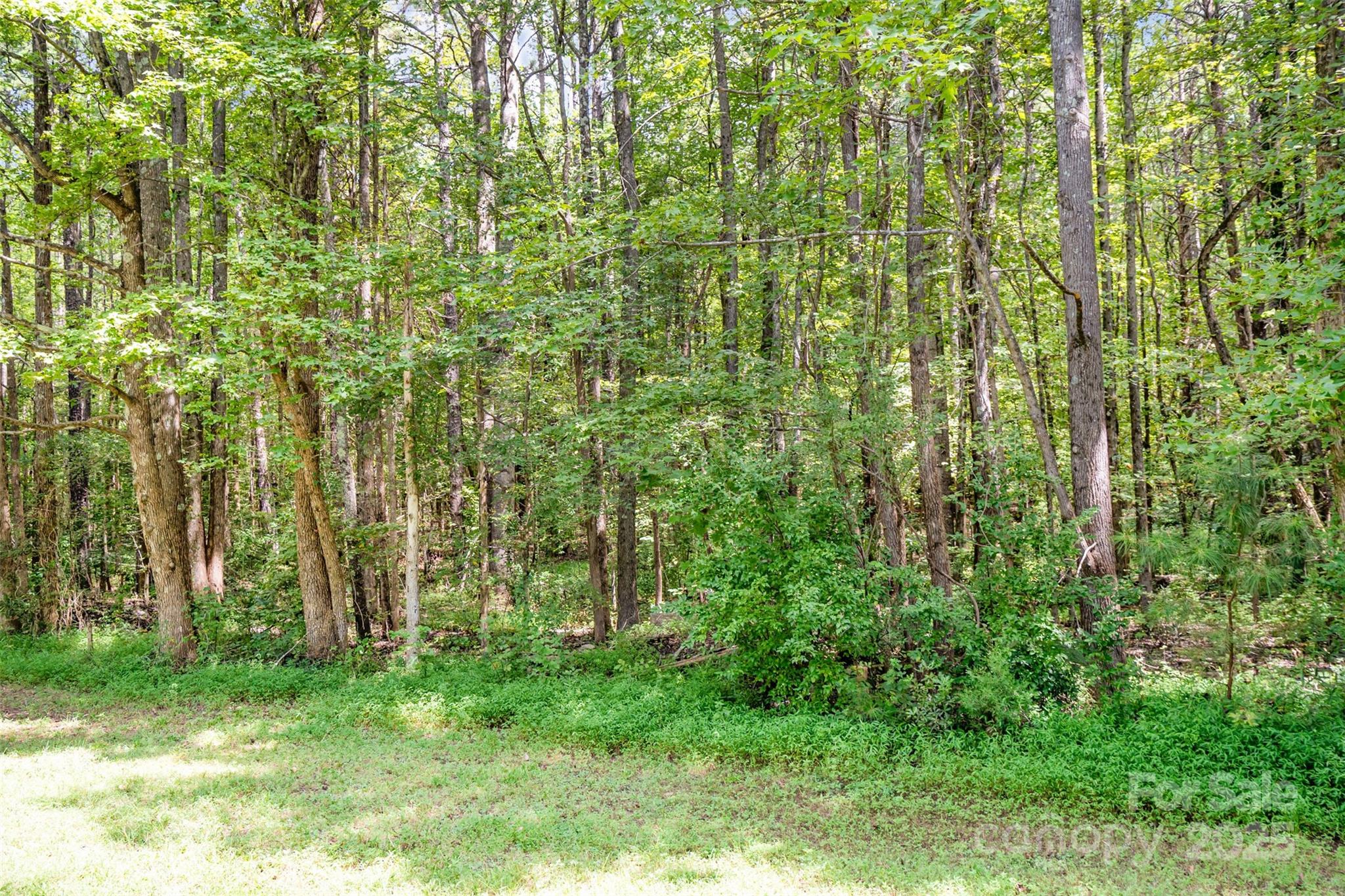 10340 Kerns Road Huntersville, NC 28078 - Photo 6 of 18