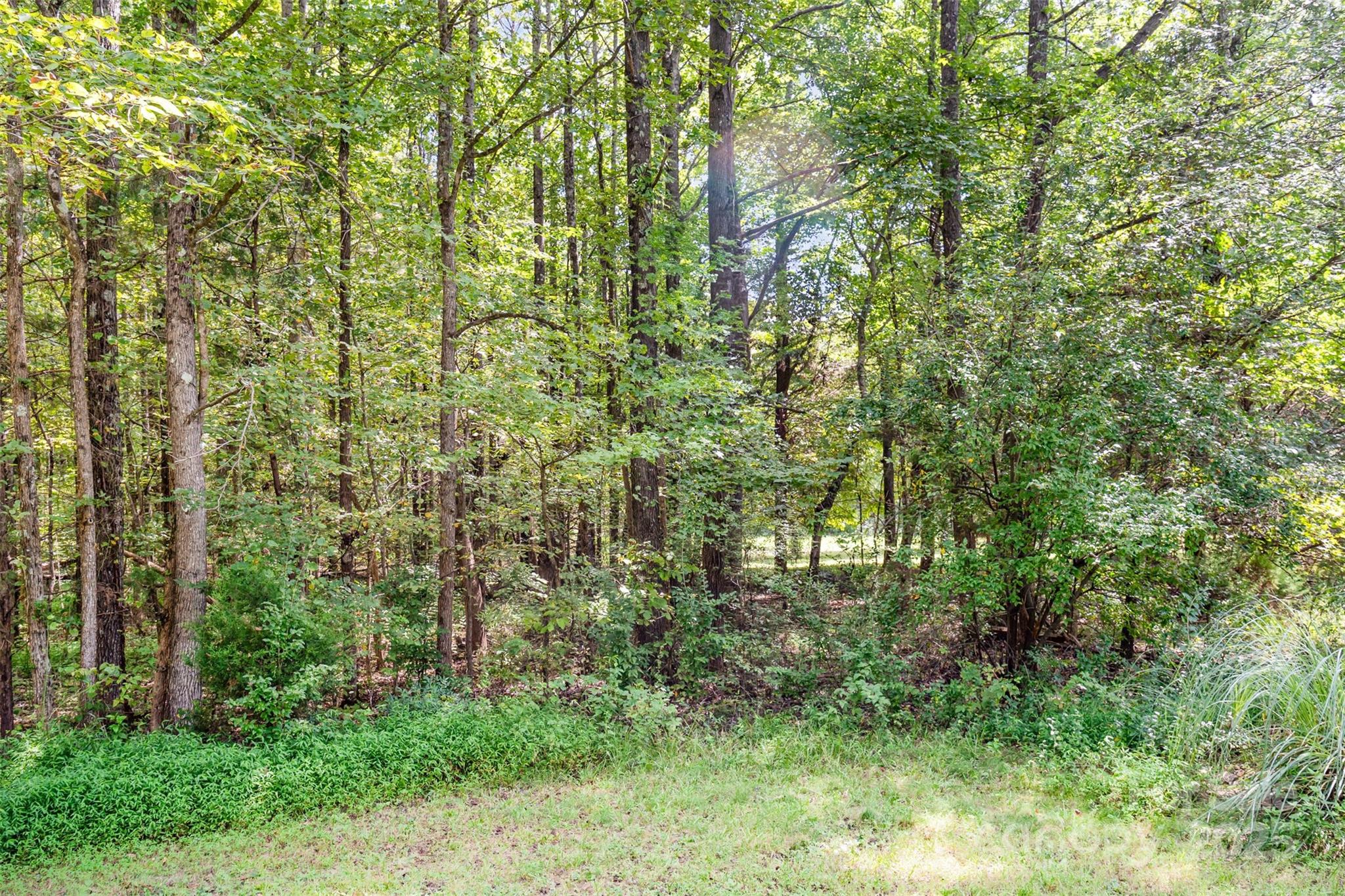 10340 Kerns Road Huntersville, NC 28078 - Photo 7 of 18