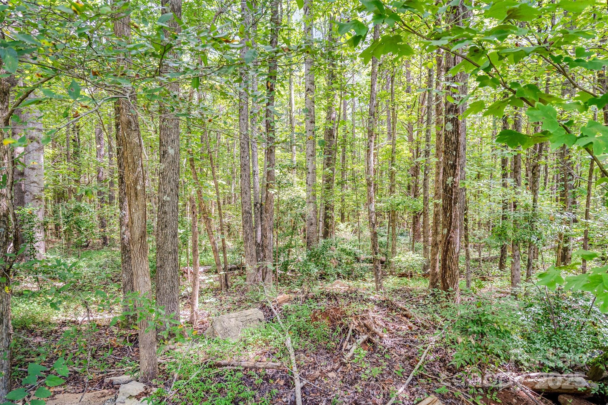 10340 Kerns Road Huntersville, NC 28078 - Photo 8 of 18