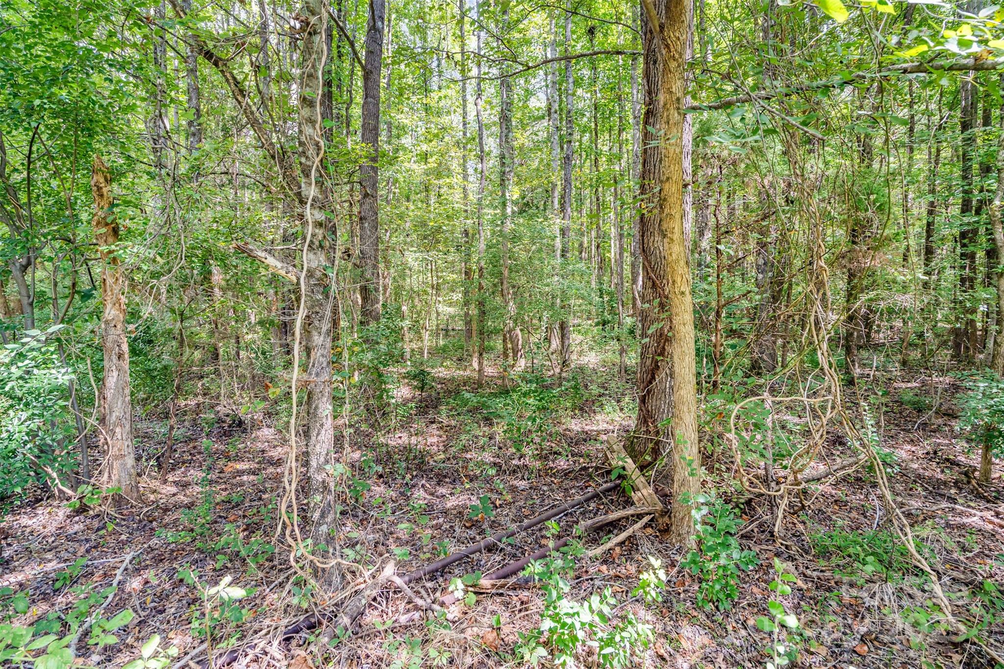 10340 Kerns Road Huntersville, NC 28078 - Photo 9 of 18