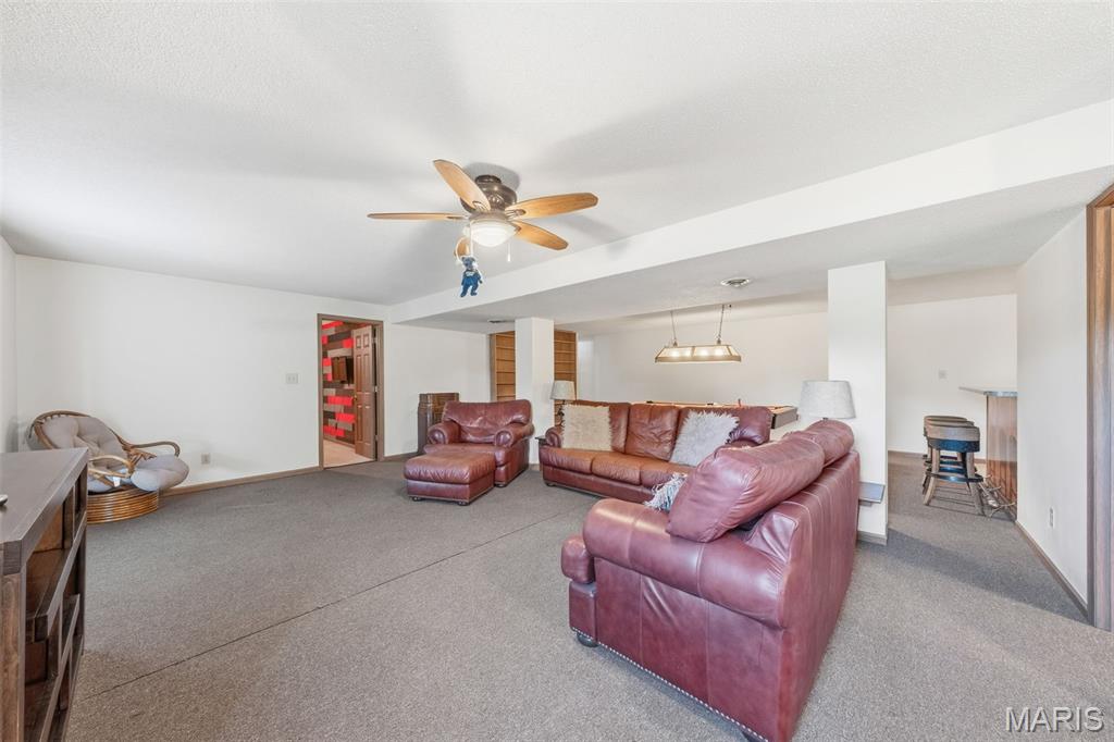 10520 Cannon Mines Road Cadet, MO 63630 - Photo 40 of 62