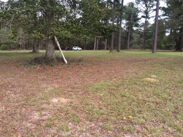 0 Wallace Buie Road Webb, AL 36376 - Photo 1 of 1