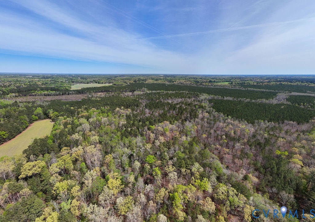 12311 Timber Road Petersburg, VA 23805 - Photo 8 of 9