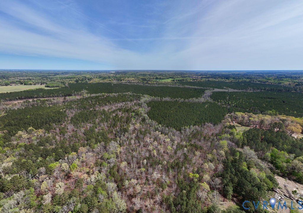 12311 Timber Road Petersburg, VA 23805 - Photo 9 of 9