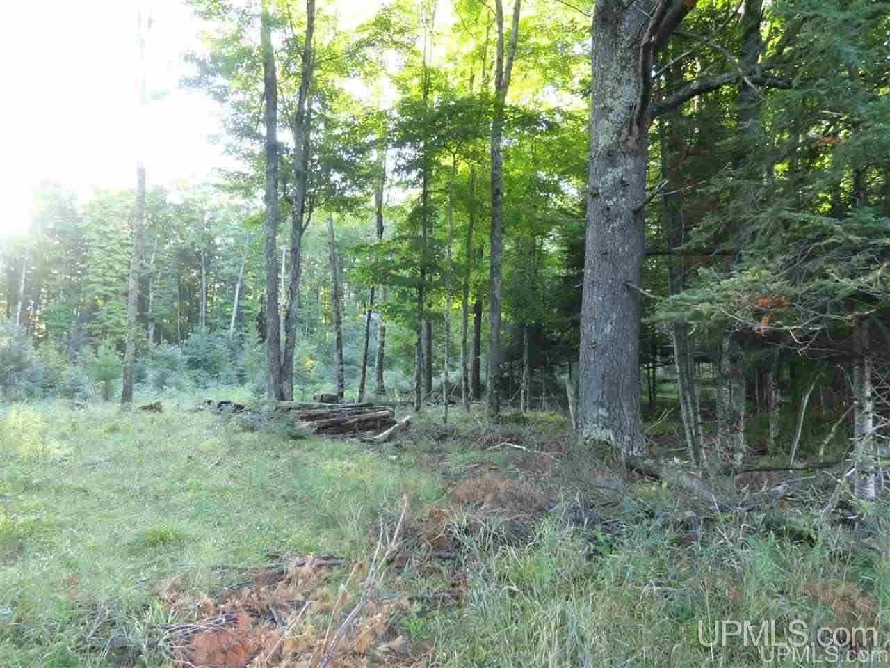 5-acres Co Rd Sa Cornell, MI 49818 - Photo 11 of 27
