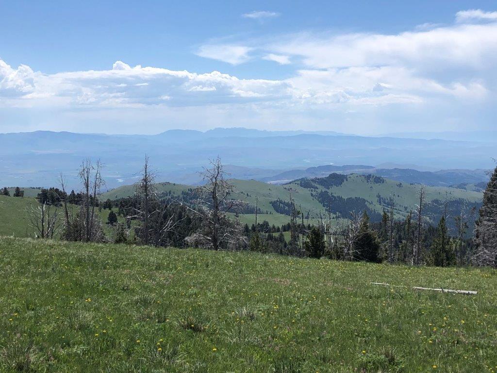 Tbd Indian Creek Road Townsend, MT 59644 - Photo 3 of 50 Gallery Image 3