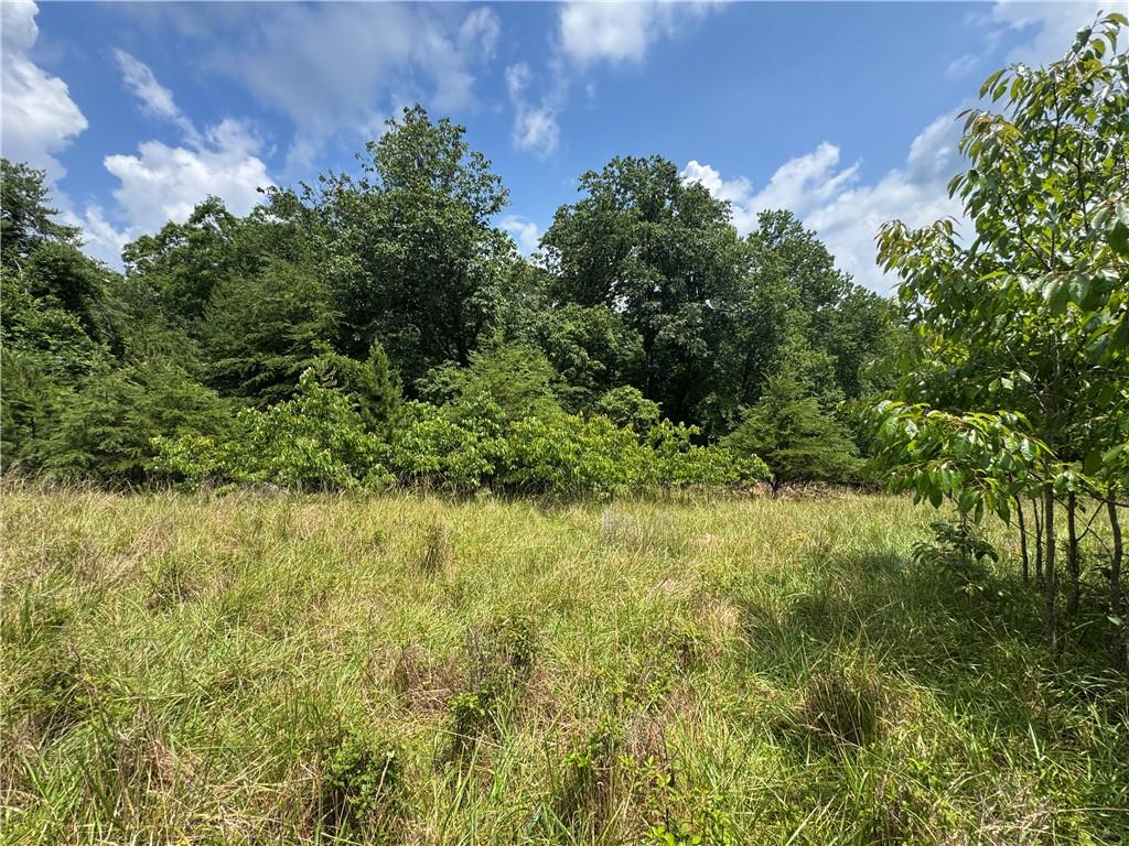 3.5-ac Ben Higgins Road Dahlonega, GA 30533 - Photo 15 of 21
