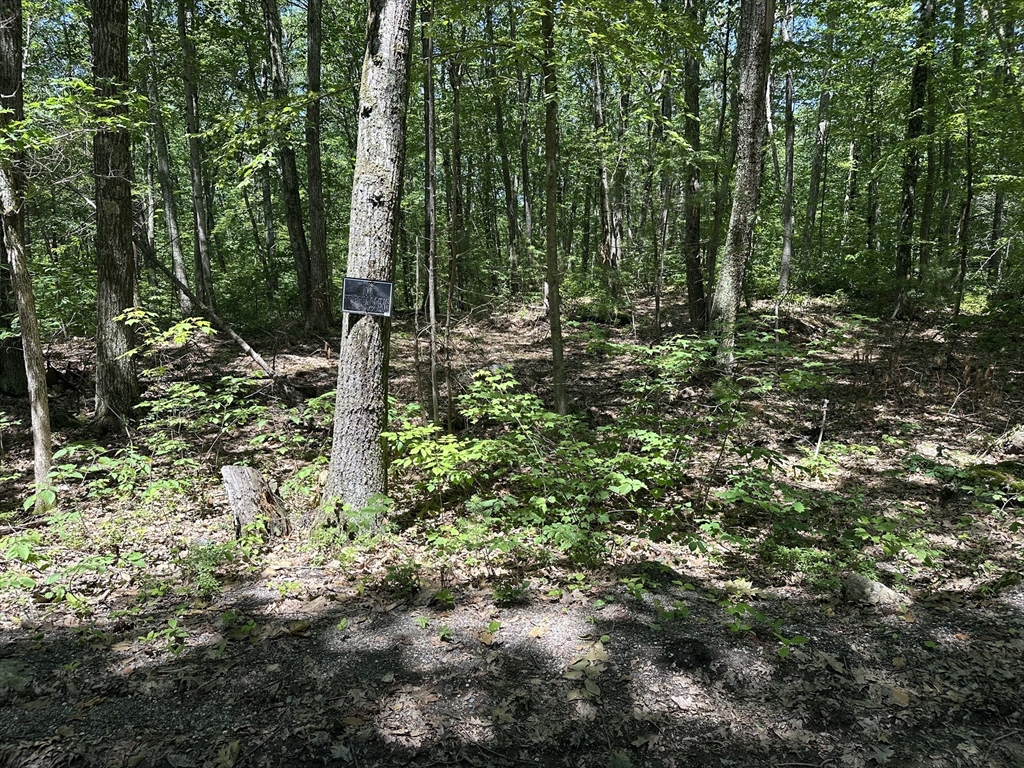 43 Irish Lane Rutland, MA 01543 - Photo 4 of 7