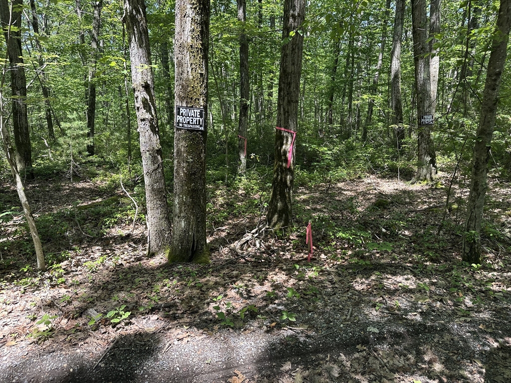 43 Irish Lane Rutland, MA 01543 - Photo 7 of 7