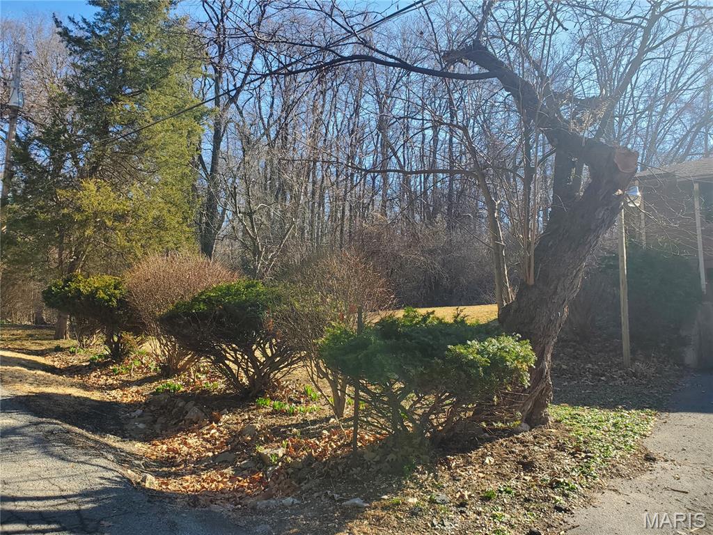 9005 Lebanon Road Belleville, IL 62223 - Photo 28 of 47