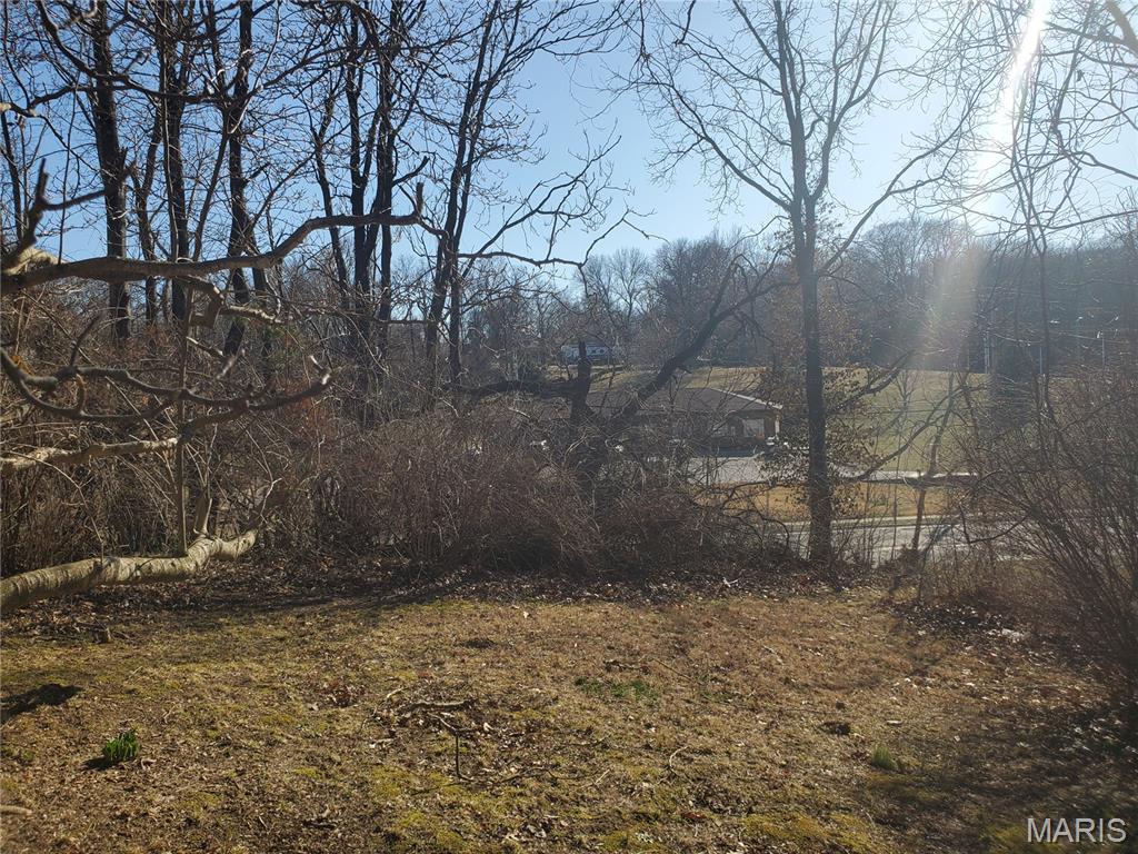 9005 Lebanon Road Belleville, IL 62223 - Photo 42 of 47