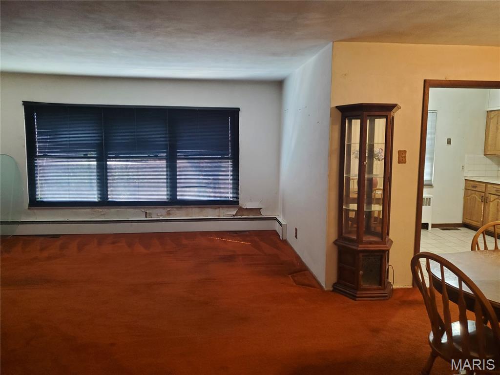 9005 Lebanon Road Belleville, IL 62223 - Photo 6 of 47