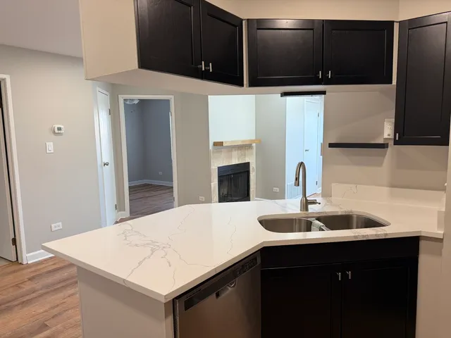 $1,450 | 1403 East Wyndham Circle, Unit 205, Palatine, IL 60074