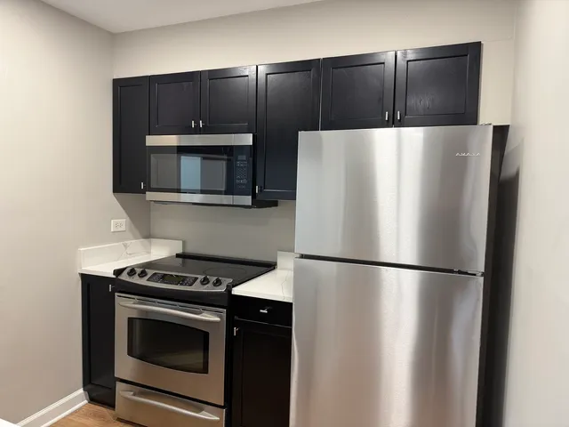 $1,450 | 1403 East Wyndham Circle, Unit 205, Palatine, IL 60074