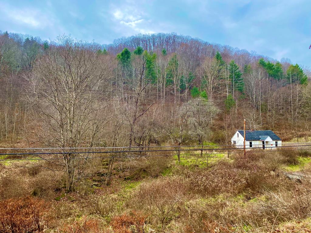 0 Matoaka Road Rock, WV 24747 - Photo 1 of 1 Gallery Image 1