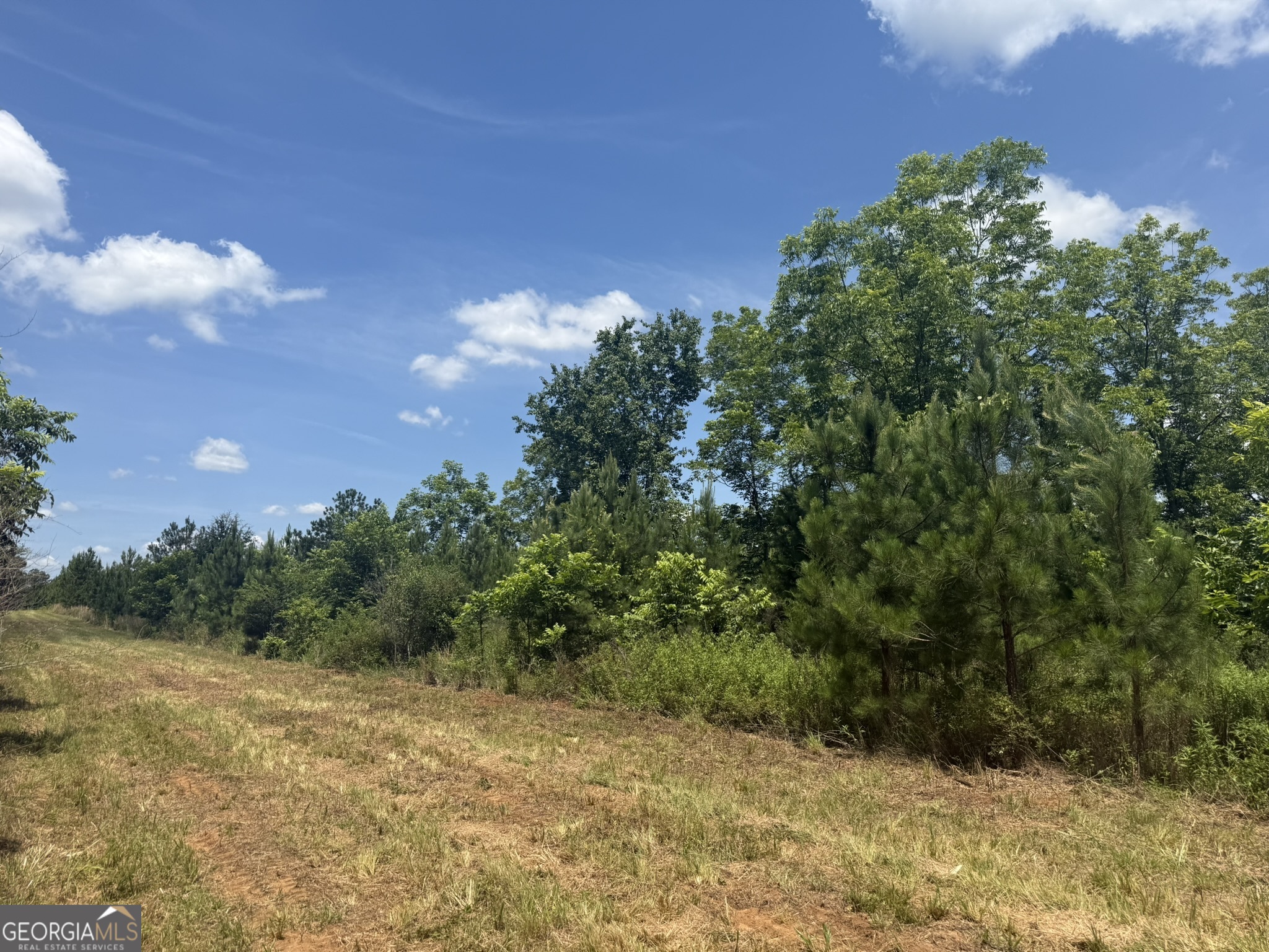 5 Fountain Bridge Road Cuthbert, GA 39840 - Photo 2 of 10