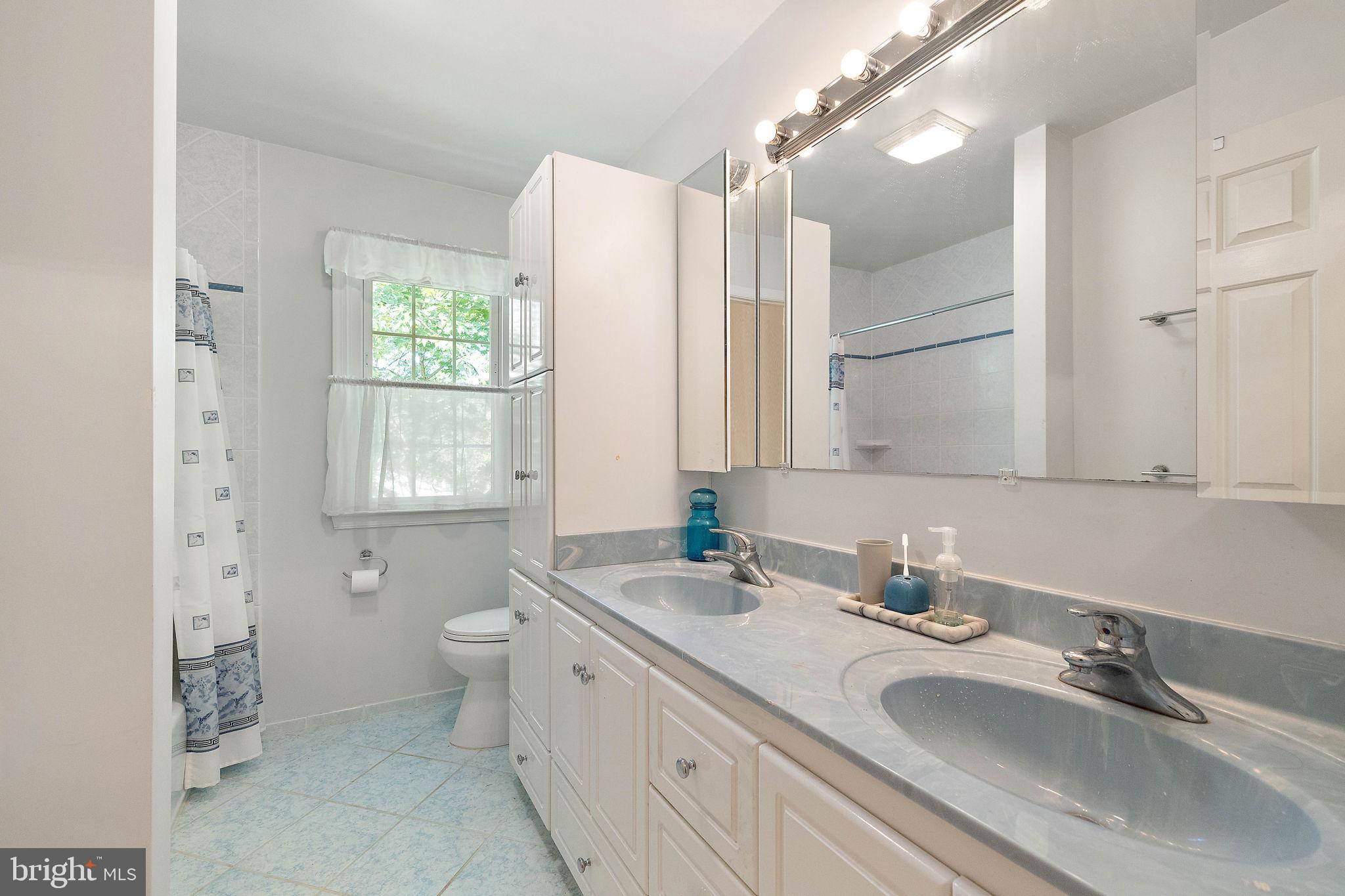 14 Kenwick Road Hockessin, DE 19707 - Photo 32 of 43 Hall bathroom with double vanity