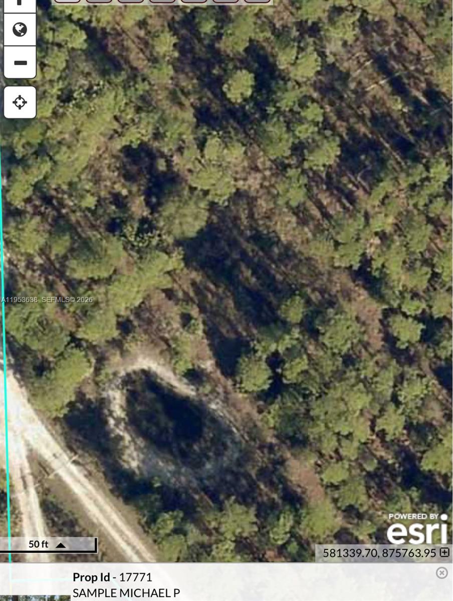 1980 Al Don Farming Road Clewiston, FL 33440 - Photo 26 of 26 a view of a forest with a tree