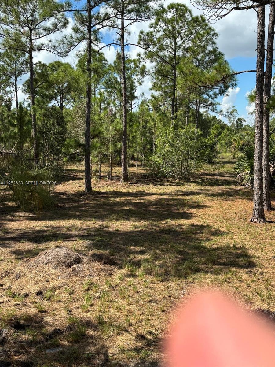 1980 Al Don Farming Road Clewiston, FL 33440 - Photo 7 of 26 a view of a water view