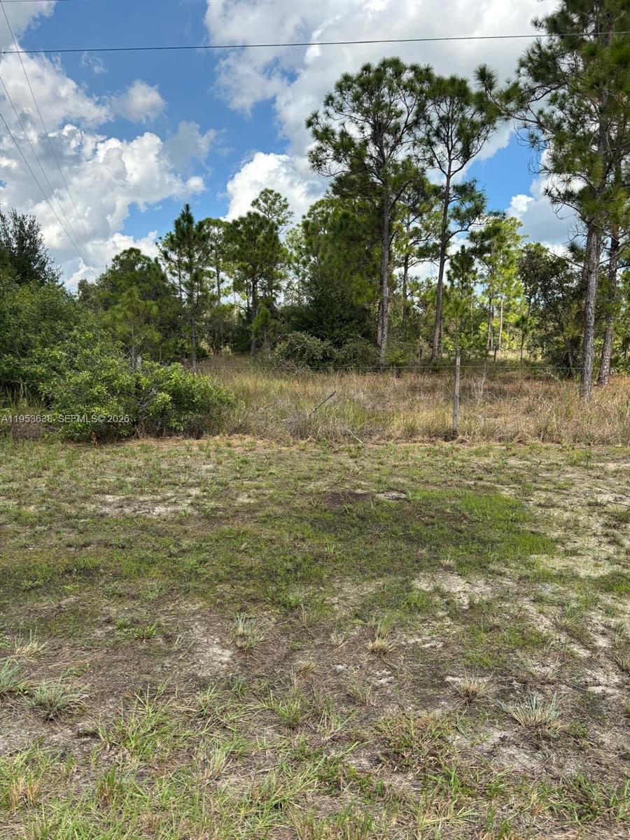 1980 Al Don Farming Road Clewiston, FL 33440 - Photo 8 of 26 a view of a lake view