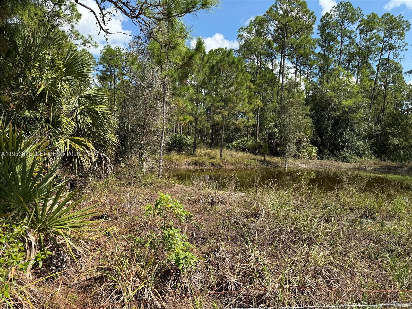 1980 Al Don Farming Road Clewiston, FL 33440 - Photo 9 of 26 a view of a yard with plants and large trees