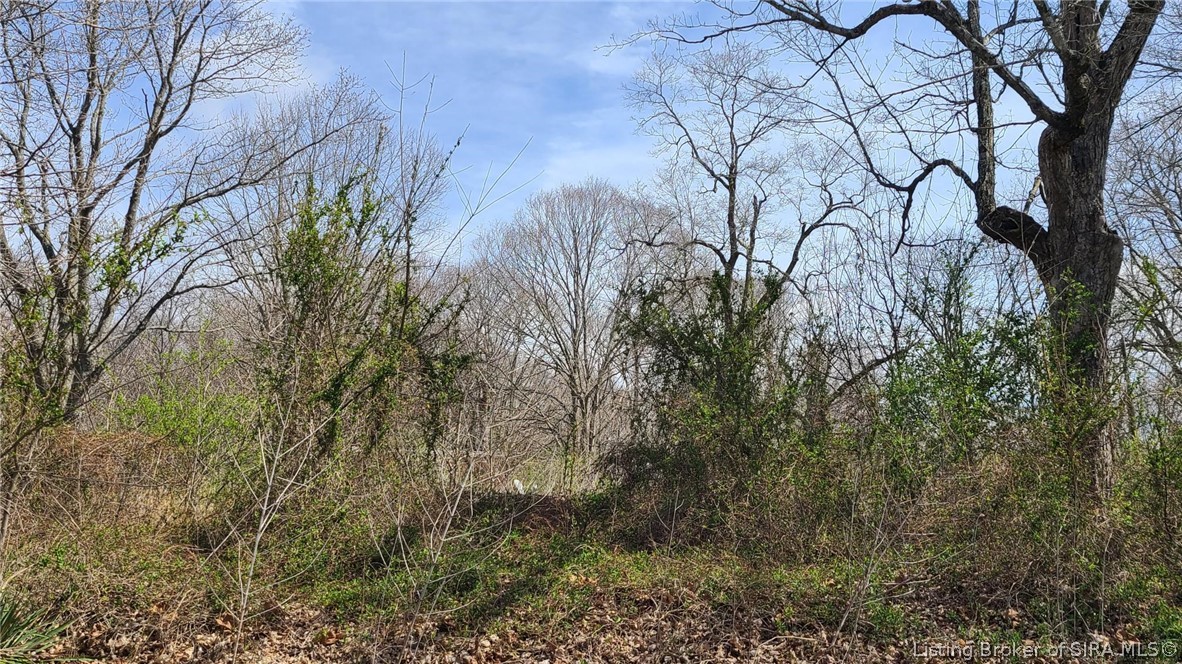 12270 North Road Northwest Depauw, IN 47115 - Photo 3 of 4