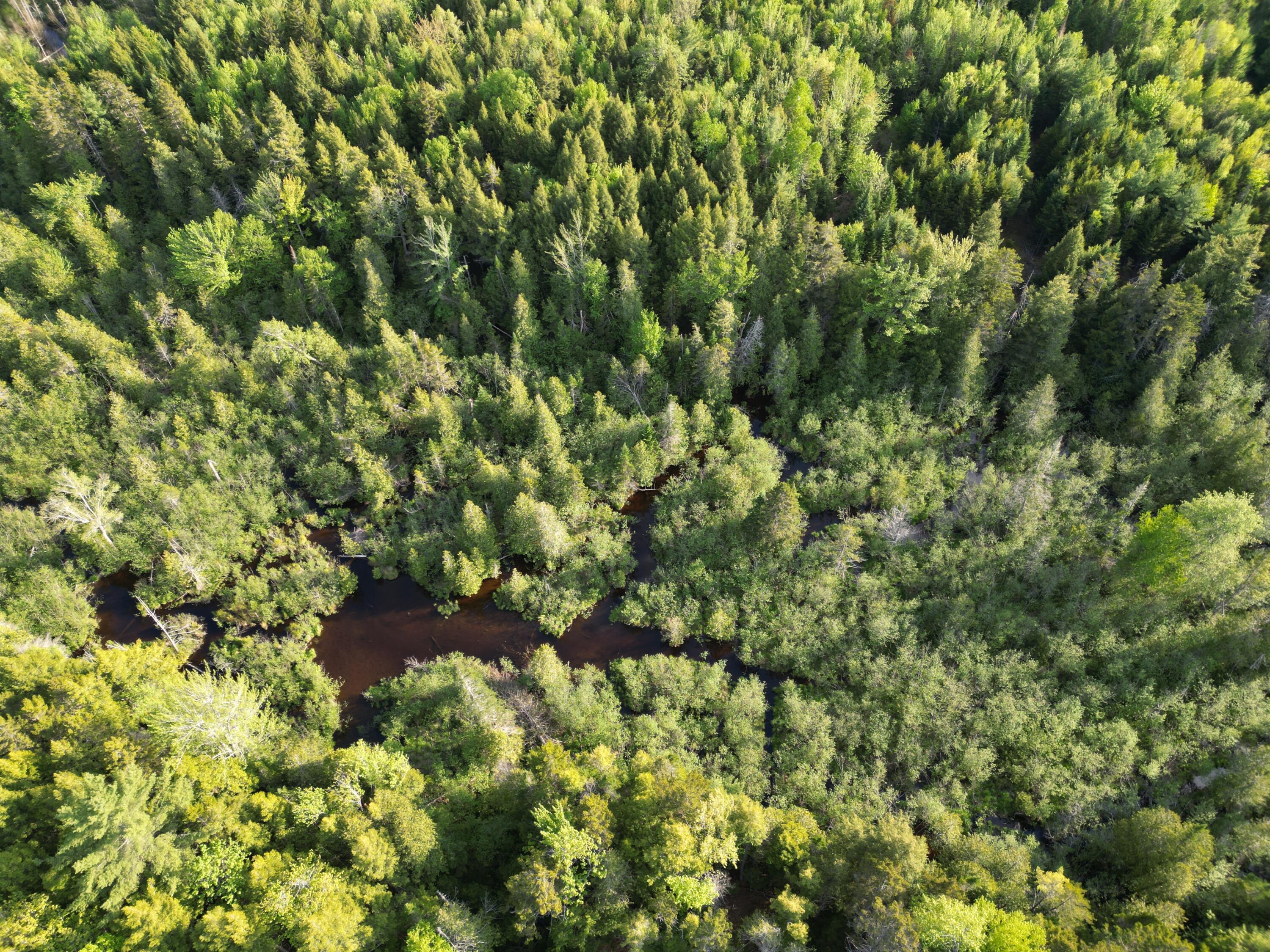 Lot 41-1 Bottle Lake Road Lakeville, ME 04487 - Photo 19 of 23 DJI_0618