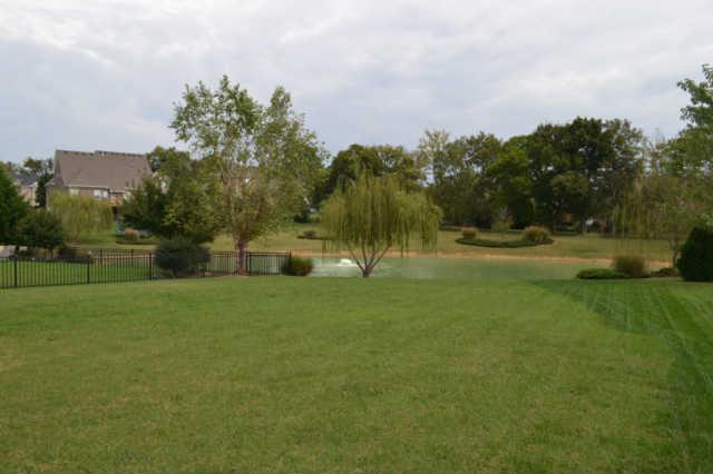 1628 Fair House Road Spring Hill, TN 37174 - Photo 8 of 9 Very Nice Size Backyard that goes to the Pond to enjoy Nature's Visitors.