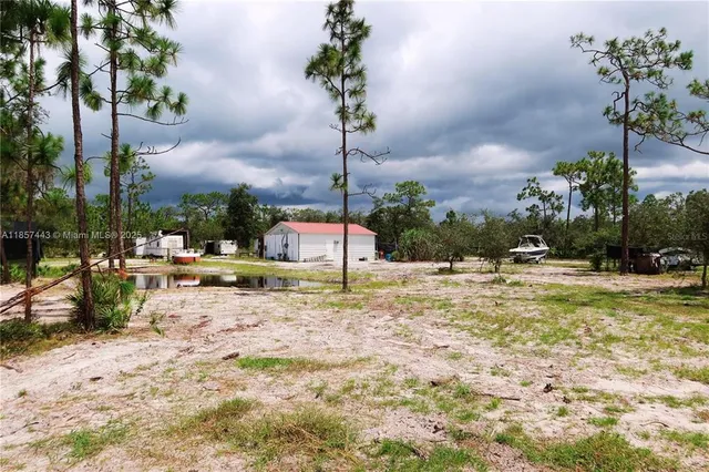 a view of a yard with a tree
