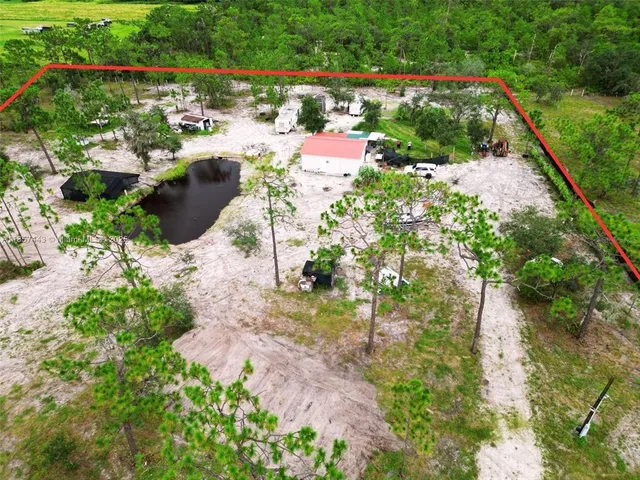 a view of a yard with plants and large trees