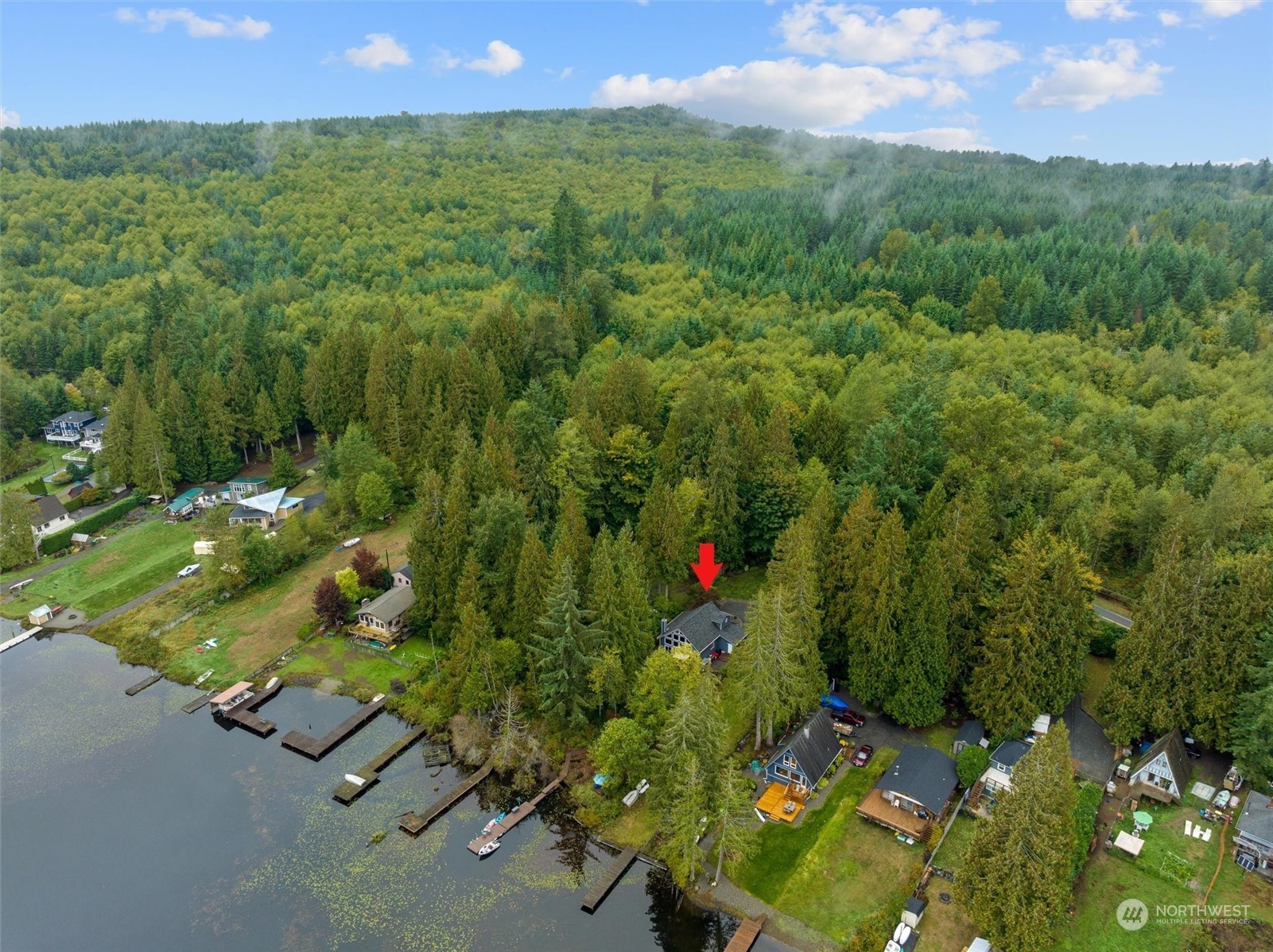 923 Southwest Lake Roesiger Road Snohomish, WA 98290 - Photo 31 of 40 a view of a lush green forest with lots of trees