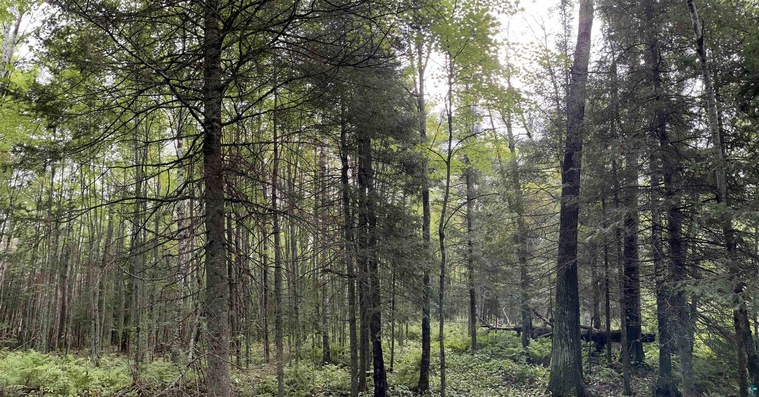 Three Lakes Road Duluth, MN 55803 - Photo 13 of 19 View of landscape