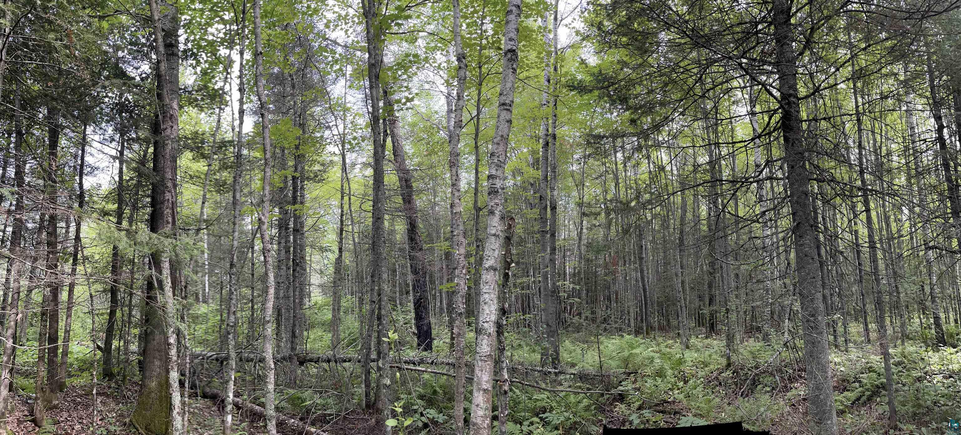 Three Lakes Road Duluth, MN 55803 - Photo 14 of 19 View of landscape
