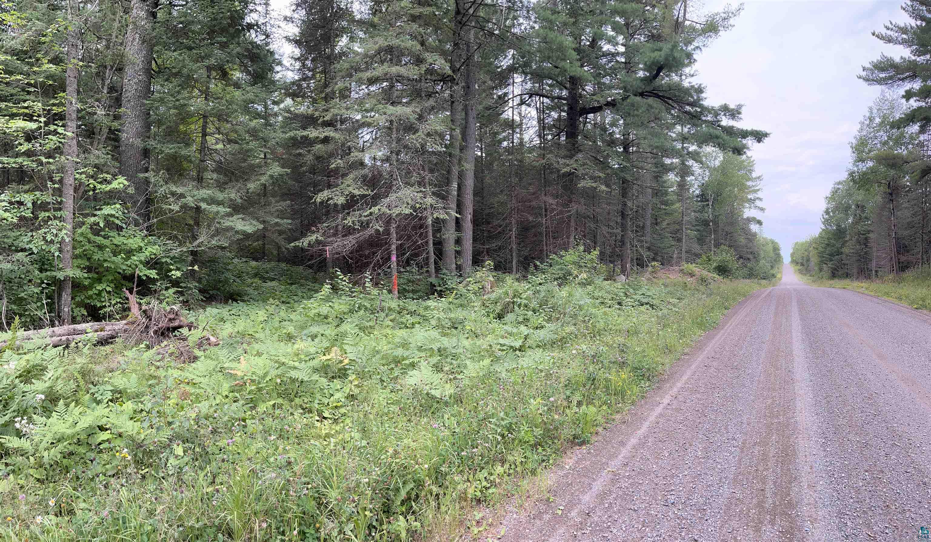 Three Lakes Road Duluth, MN 55803 - Photo 6 of 19 View of road