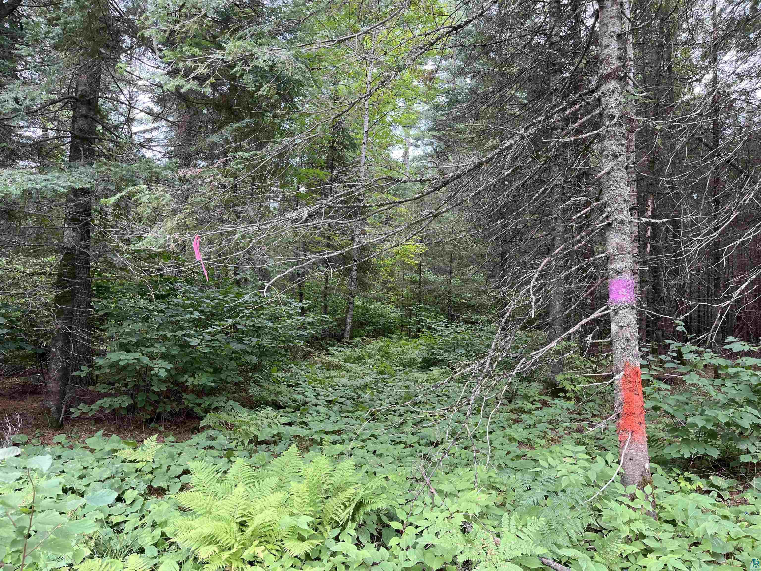 Three Lakes Road Duluth, MN 55803 - Photo 8 of 19 View of landscape