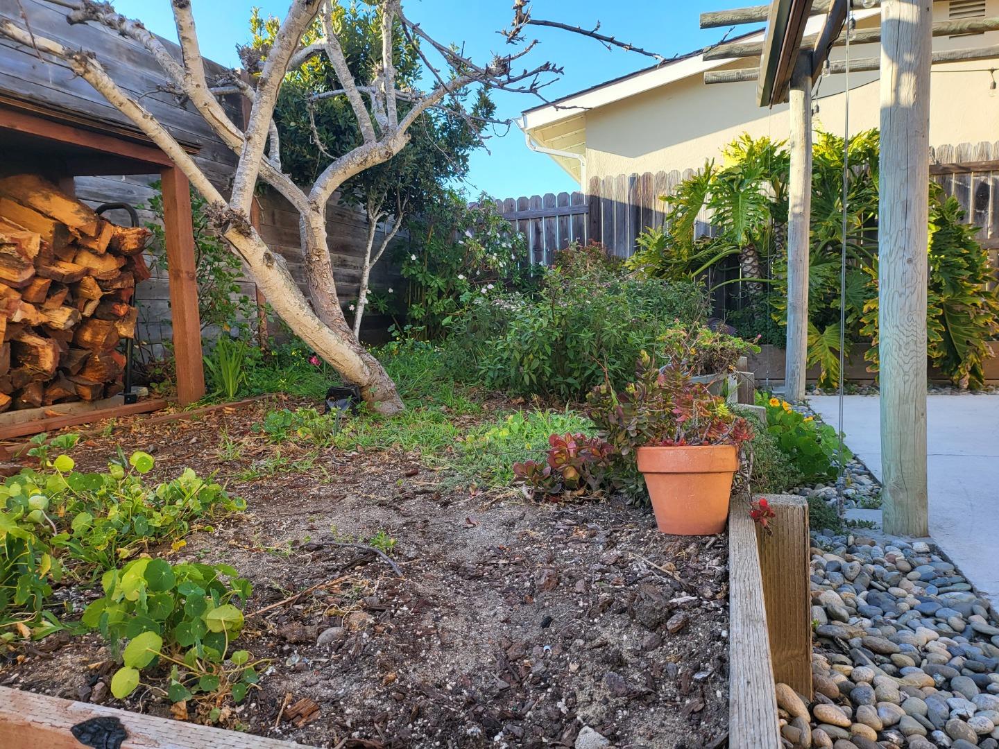 1753 Juarez Street Seaside, CA 93955 - Photo 20 of 52 a view of a backyard that has plants