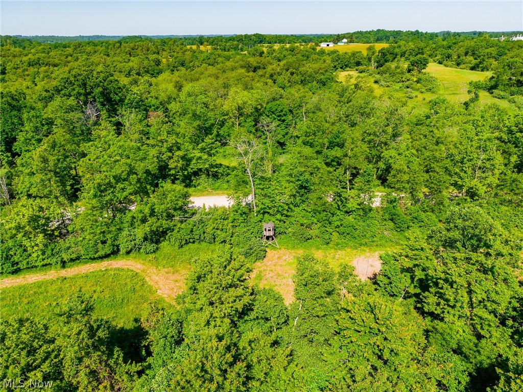 84143 Gilmore Ridge Road Cadiz, OH 43907 - Photo 27 of 32