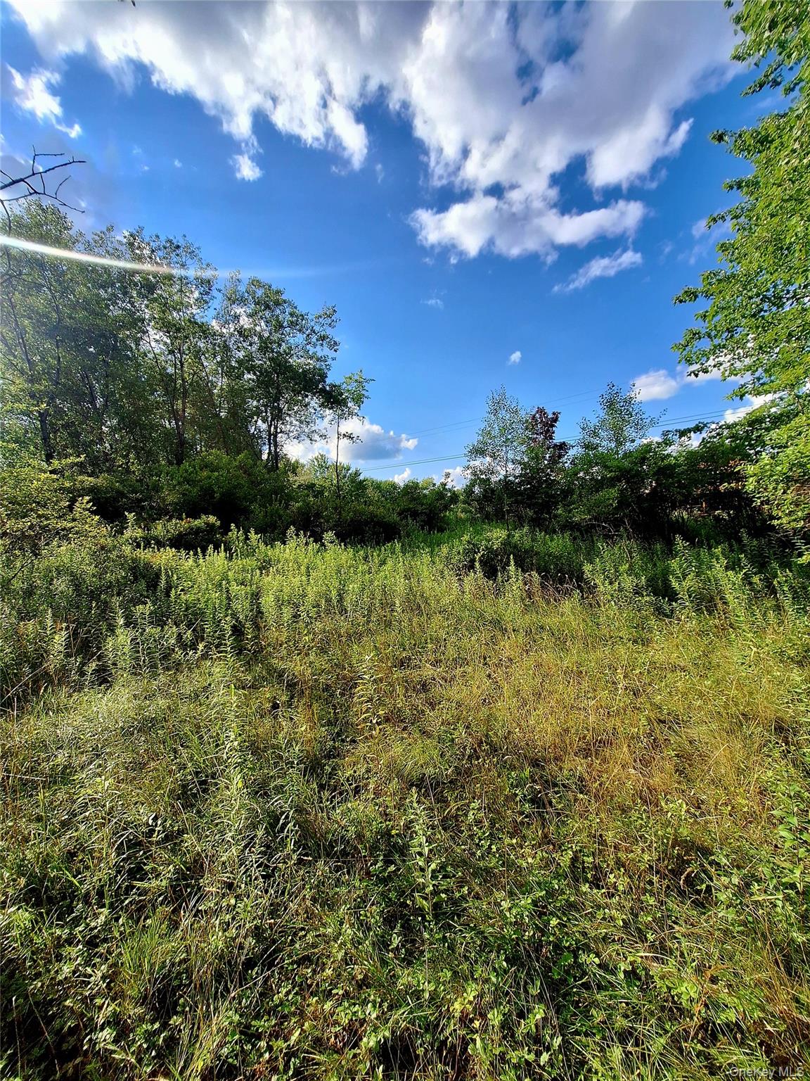 Burnt Ridge Road Fallsburg, NY 12733 - Photo 13 of 38 Gallery Image 13
