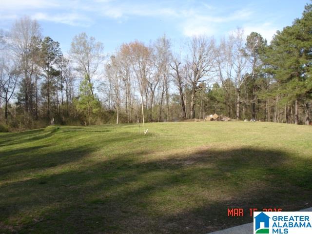 835 County Road 271 Clanton, AL 35045 - Photo 22 of 26