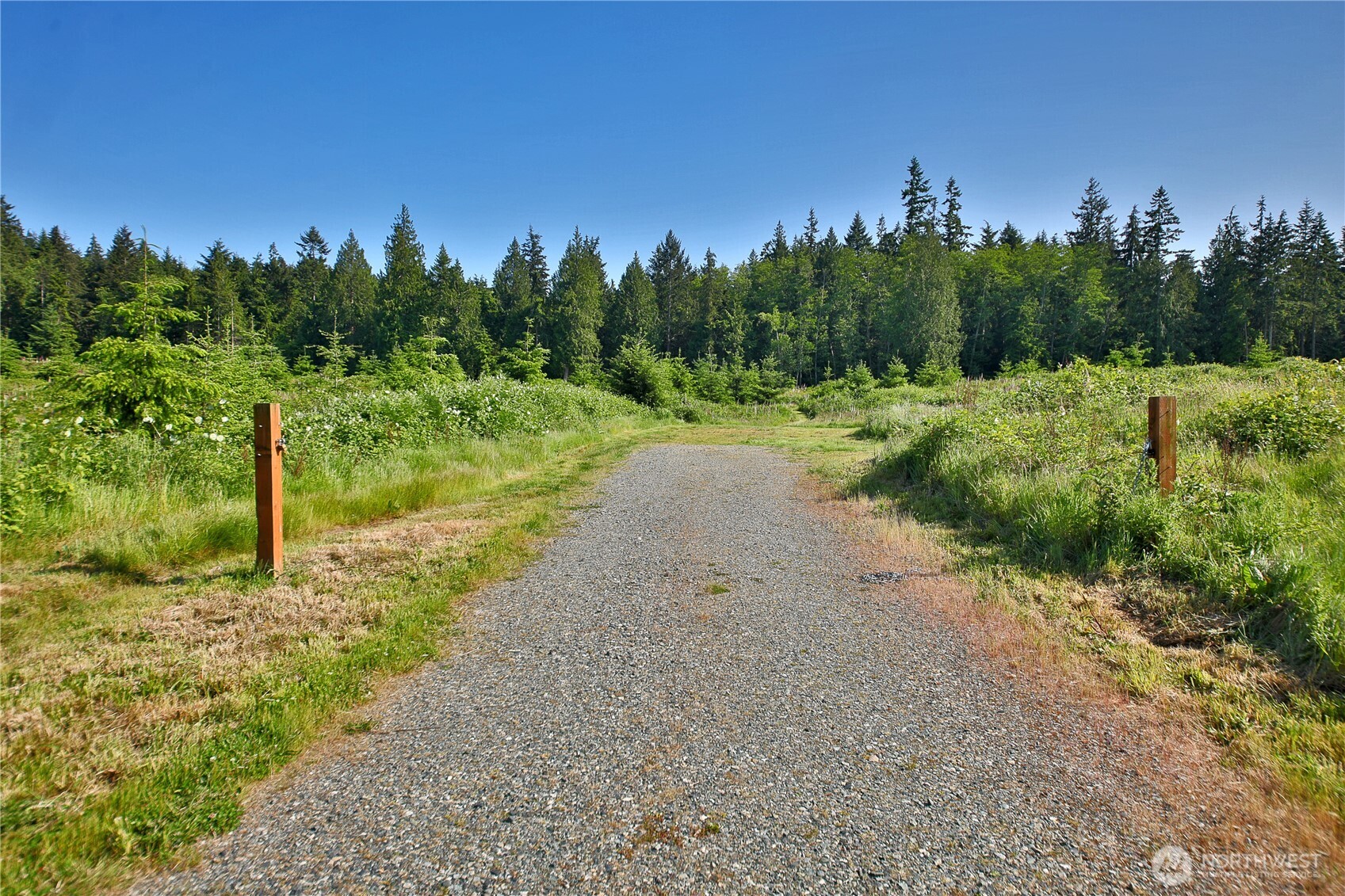 2062 East Goodell Road Freeland, WA 98249 - Photo 5 of 37