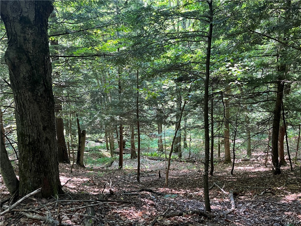 Center Road Lacona, NY 13083 - Photo 20 of 38