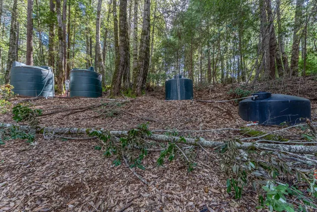 a view of a backyard with trees