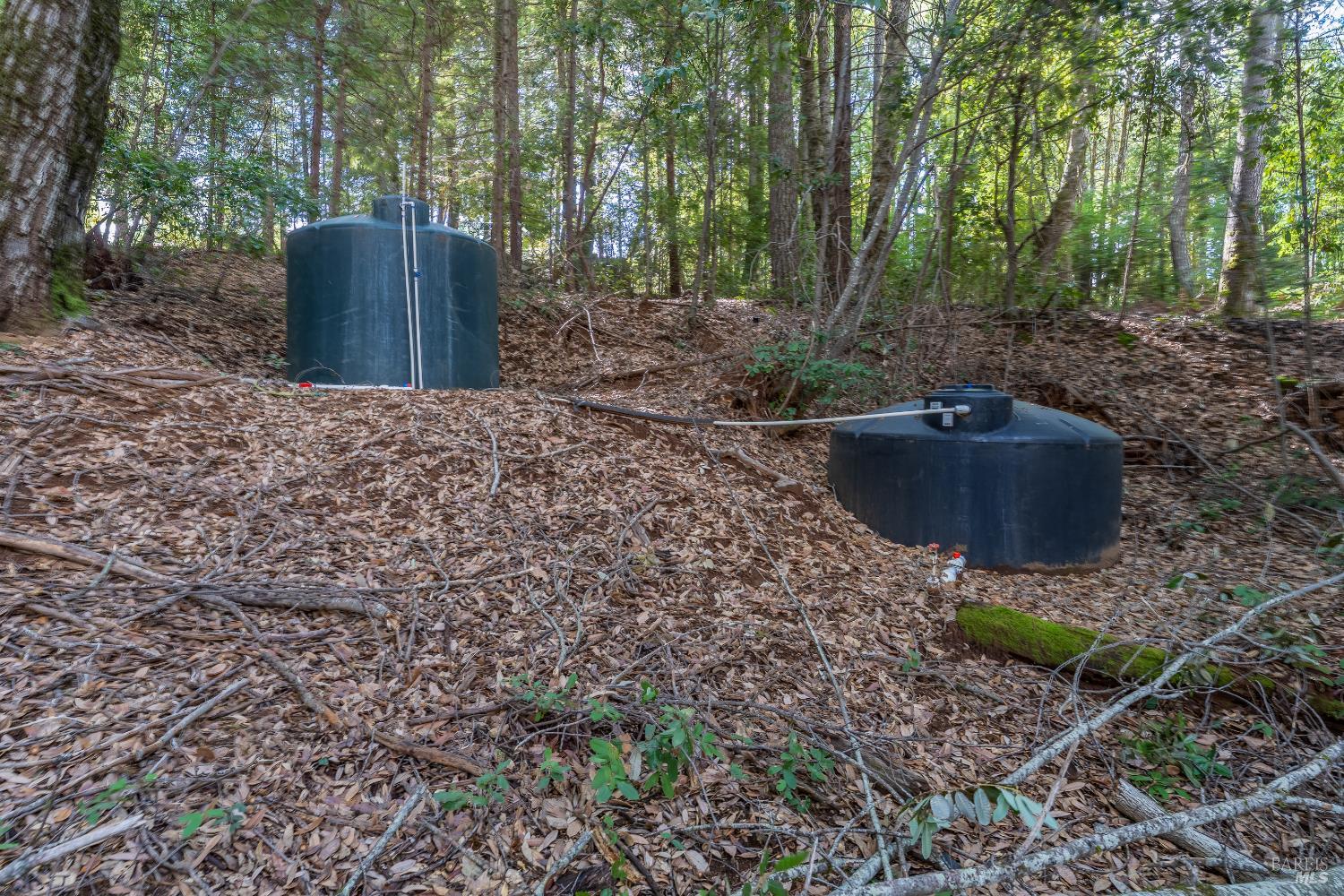 30651 Timberline Road Willits, CA 95490 - Photo 27 of 52