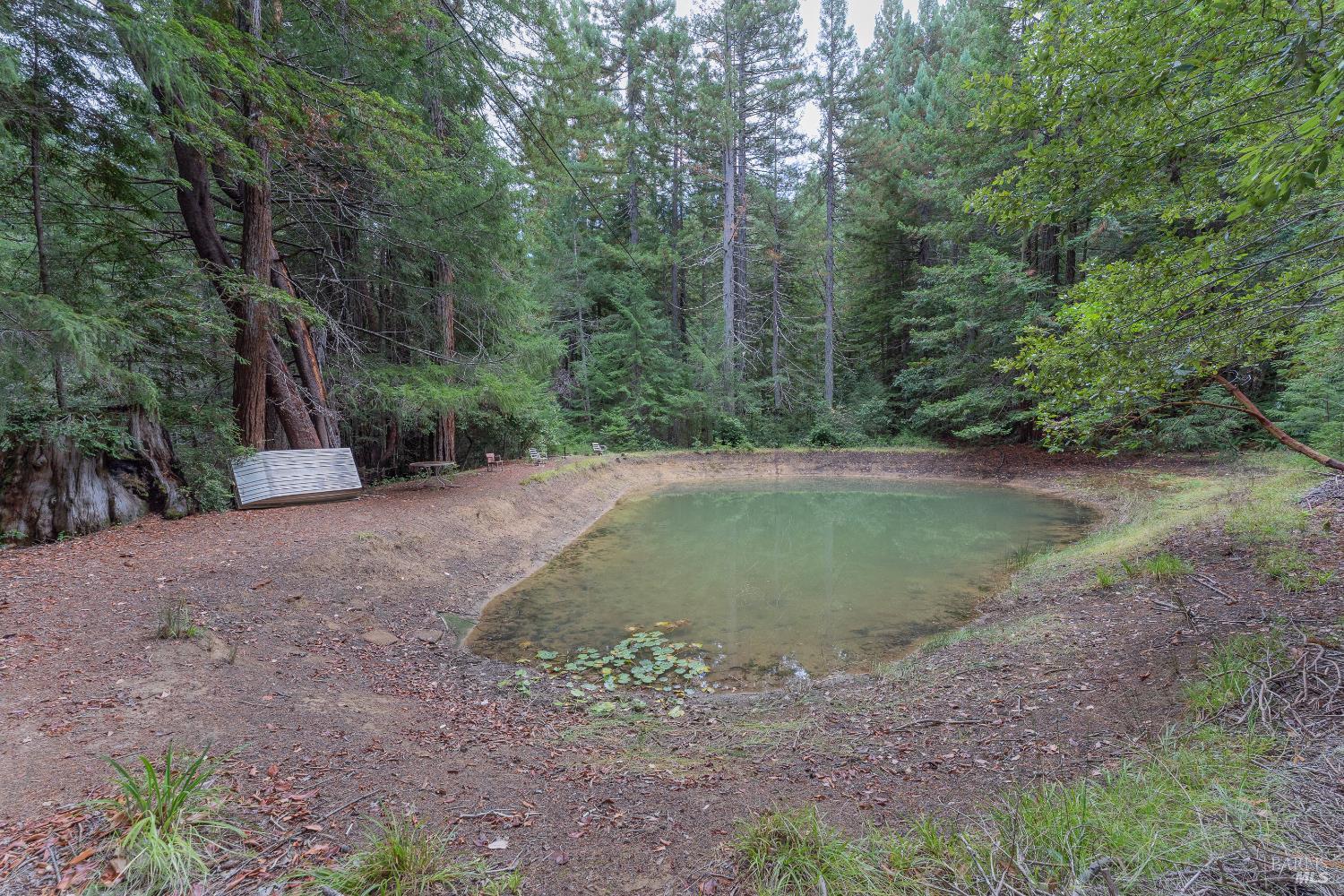 30651 Timberline Road Willits, CA 95490 - Photo 46 of 52