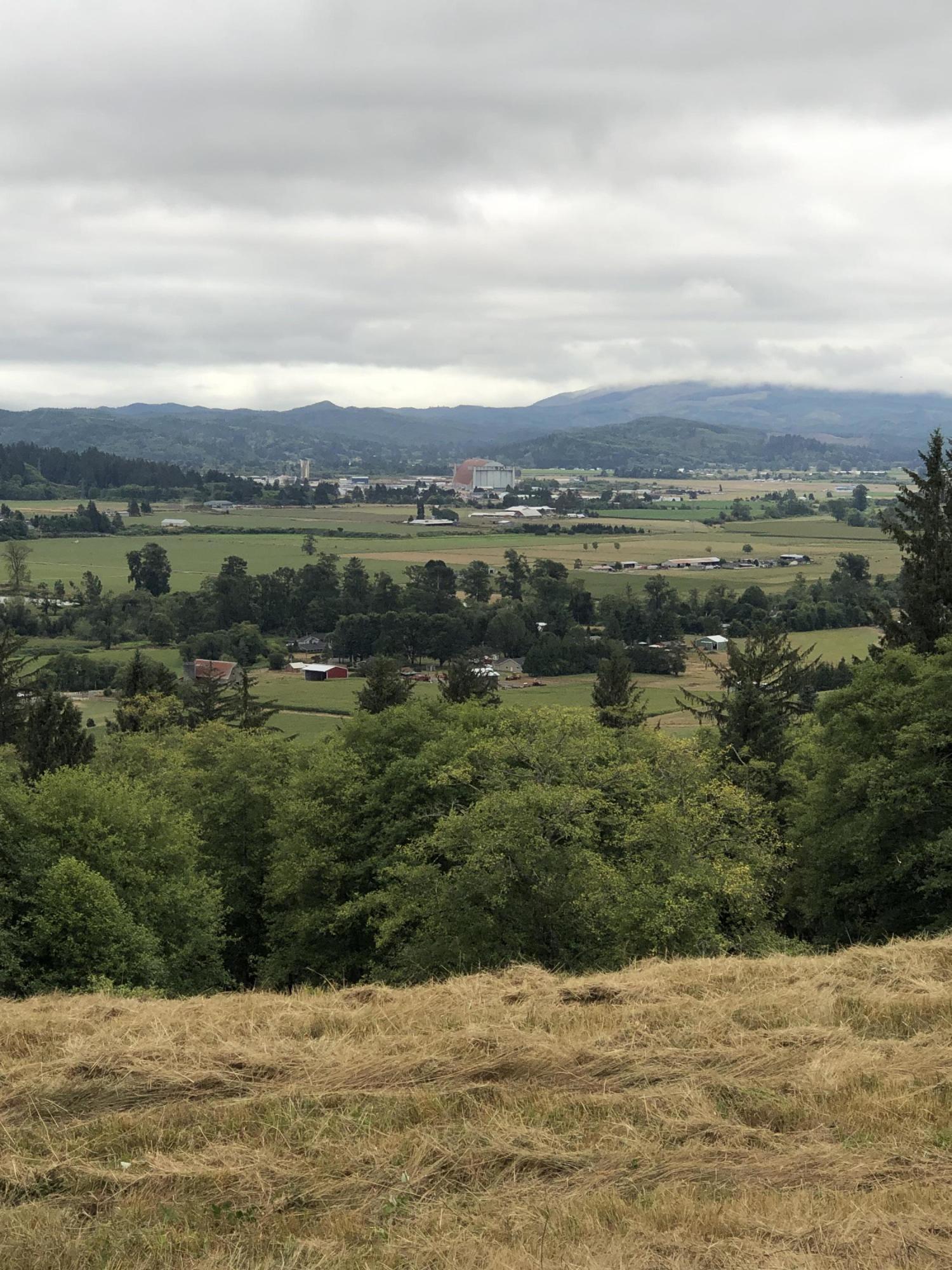 Lot 30 Skyview Road Tillamook, OR 97141 - Photo 5 of 15 IMG_9043