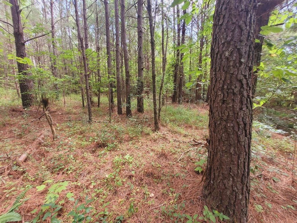 249 Bethlehem Road Copperhill, TN 37317 - Photo 1 of 19 Main View