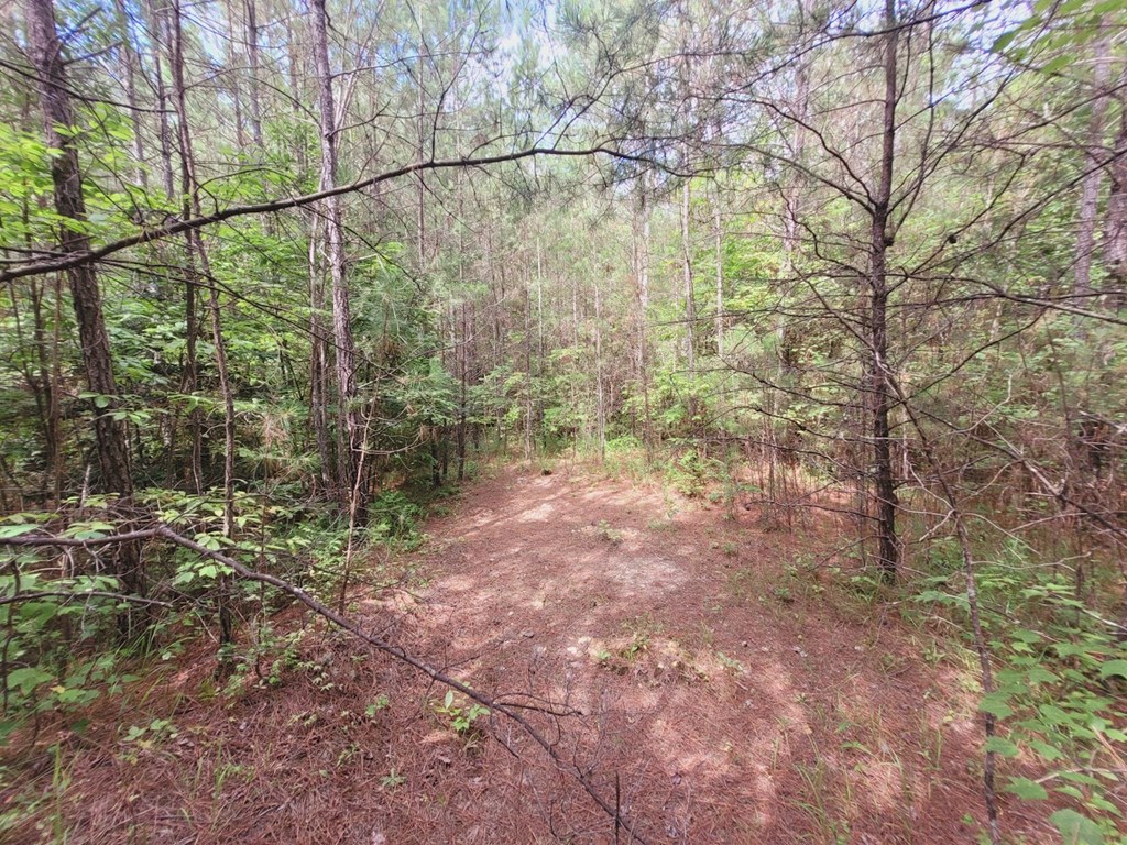 249 Bethlehem Road Copperhill, TN 37317 - Photo 14 of 19